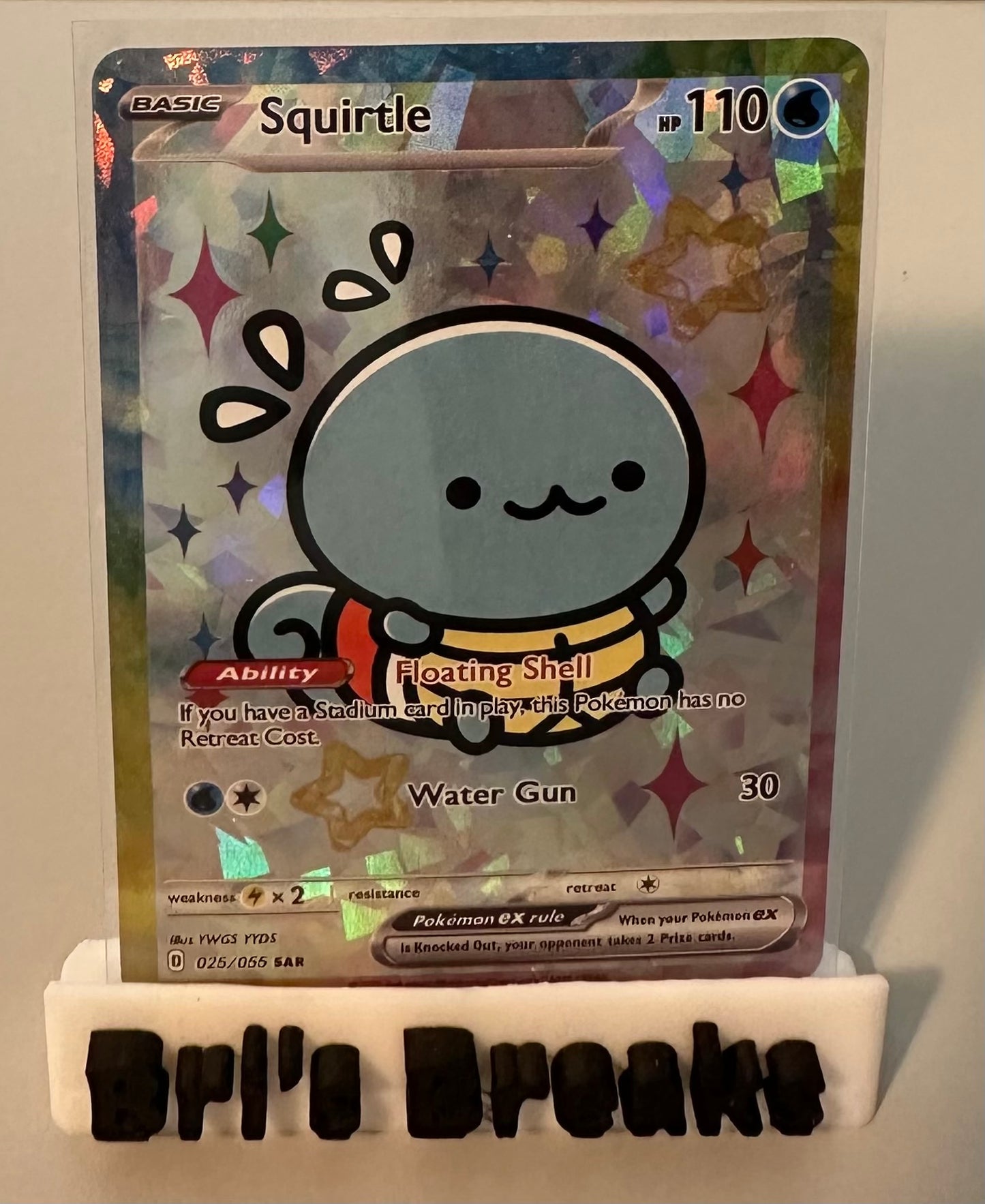 DERPY SERIES - Squirtle