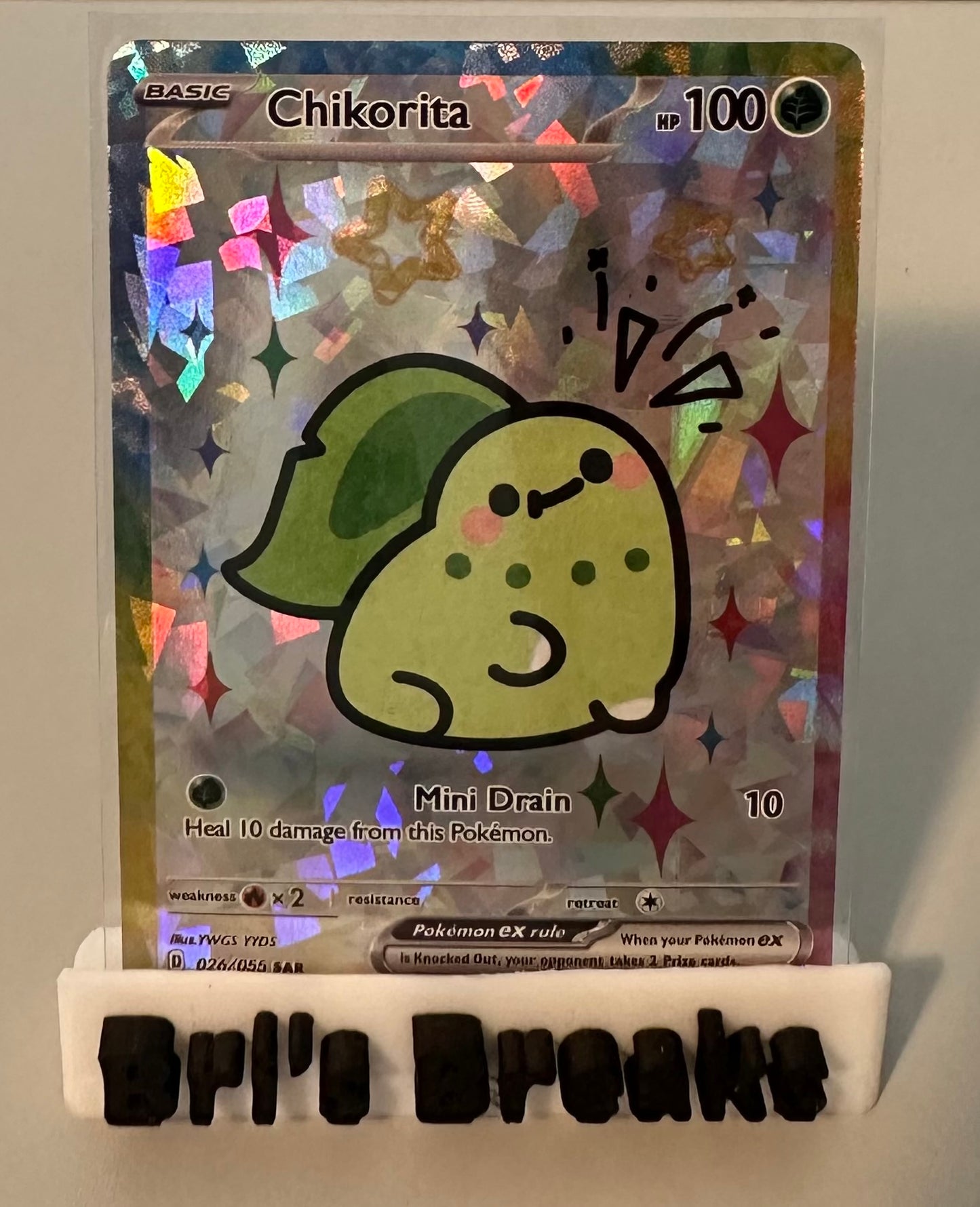 DERPY SERIES - Chikorita