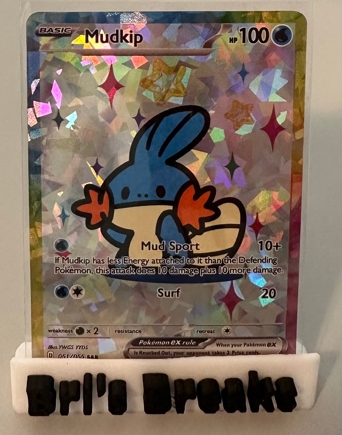 DERPY SERIES - Mudkip