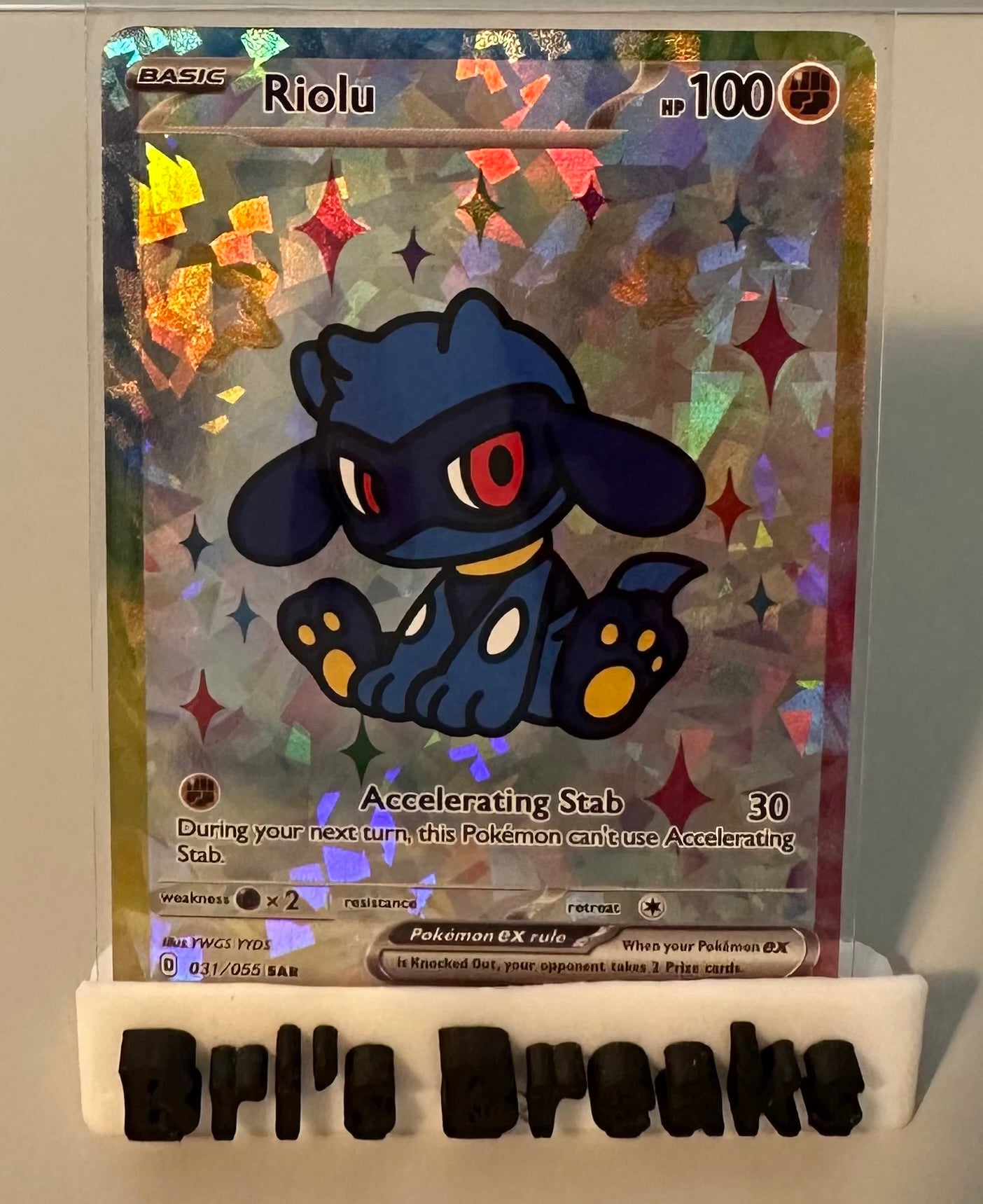 DERPY SERIES - Riolu