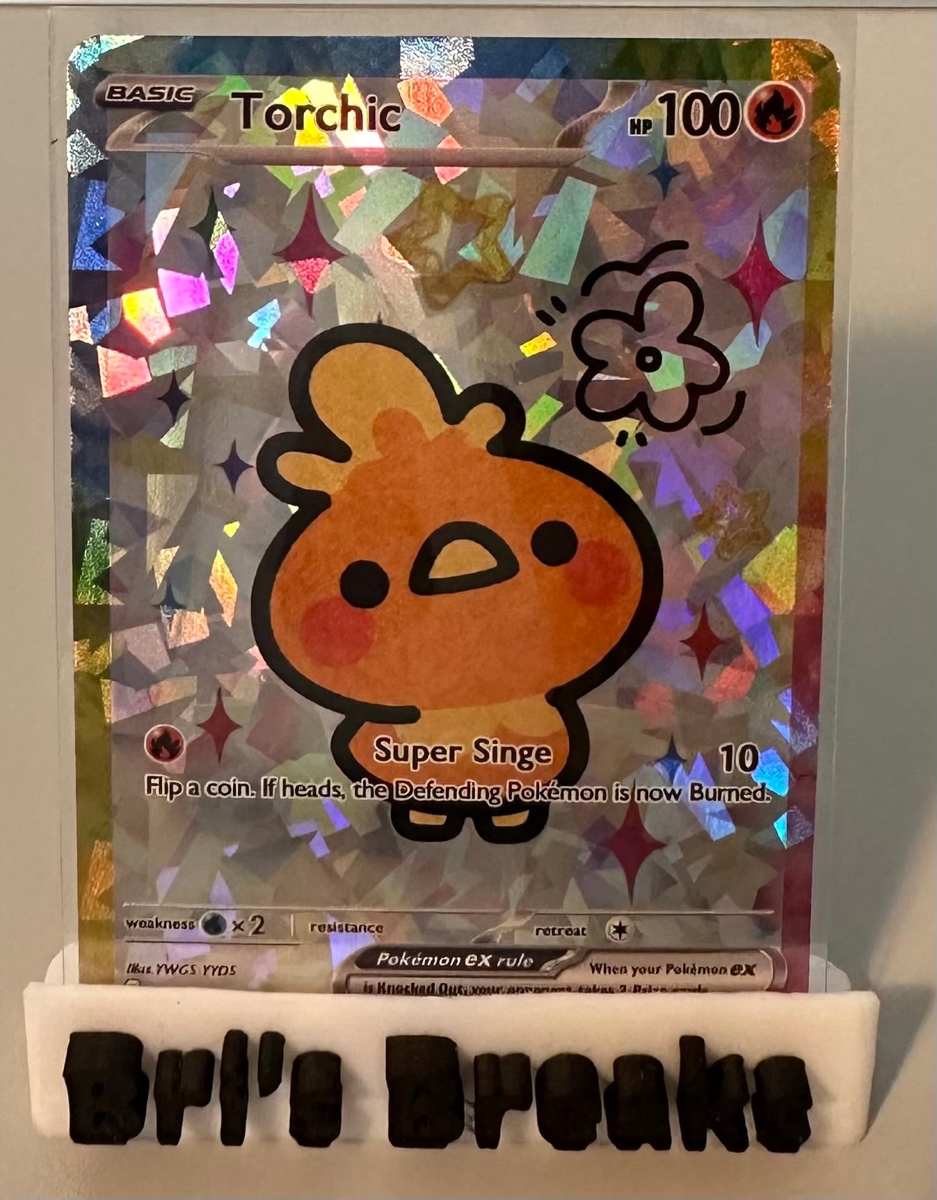 DERPY SERIES - Torchic