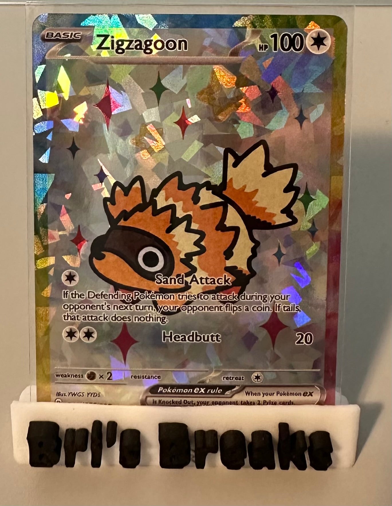DERPY SERIES - Zigzagoon