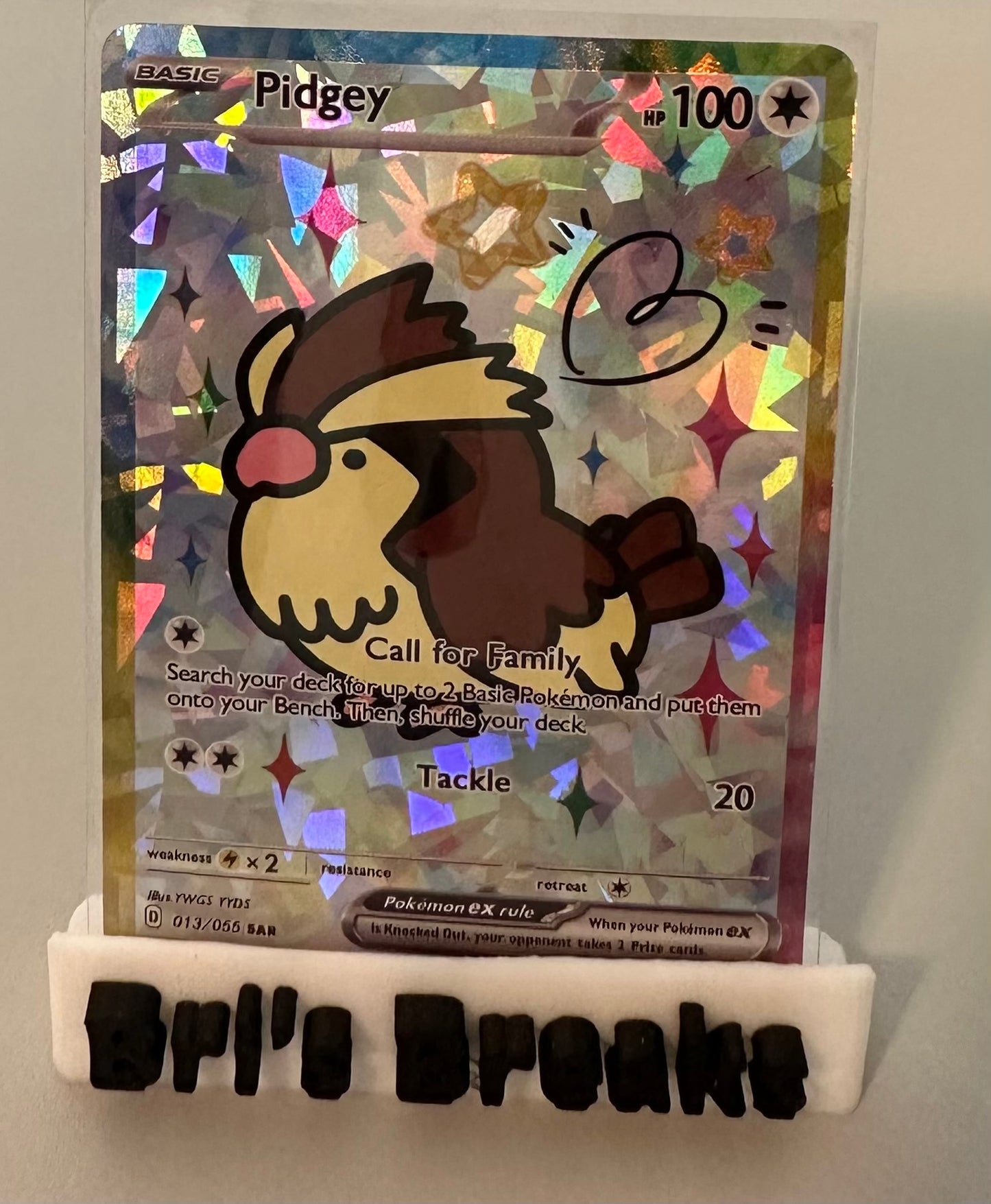 DERPY SERIES - Pidgey