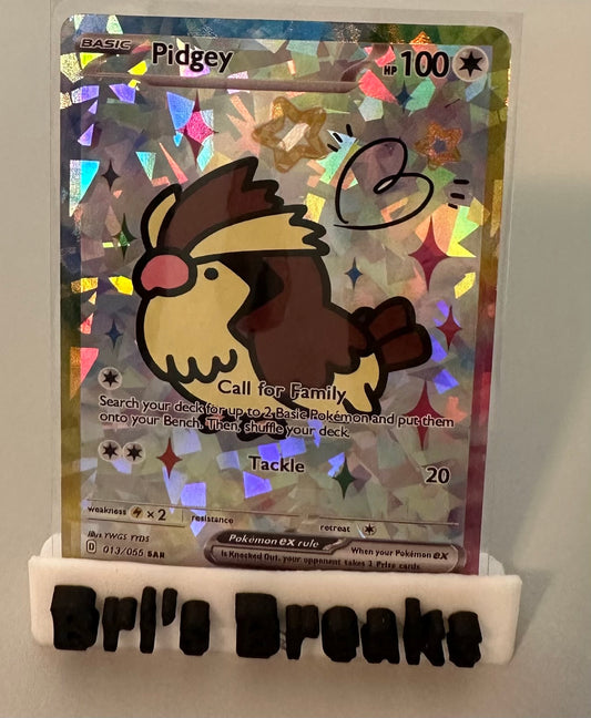 DERPY SERIES - Pidgey